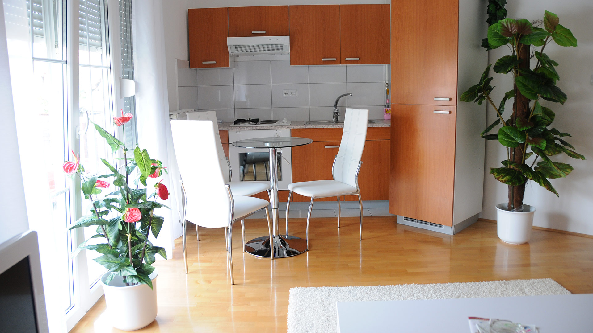 Apartmani Artus - Odlično opremljeni